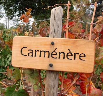 Carmenere-sign-200p